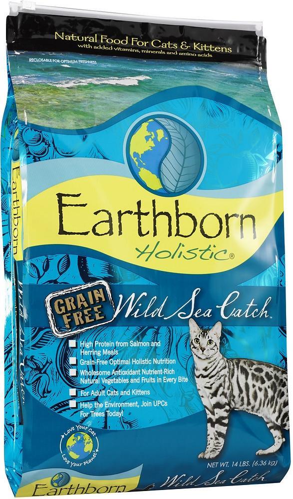 Earthborn wet hot sale cat food