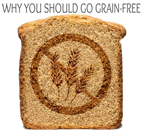 Do Grain Free Diets cause DCM?