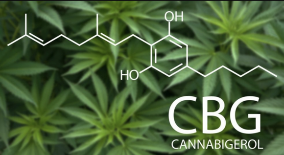 What is Cannabigerol and why should I care?