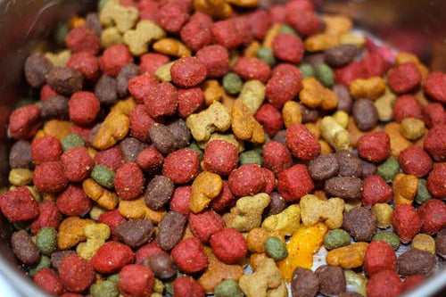 The History of Pet Food Part I