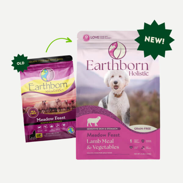 Earthborn Holistic Meadow Feast Dry Dog Food Thomaston CT Thomaston Feed Online