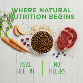 Nature's Variety Instinct Be Natural Beef & Barley Recipe Dry Dog Food