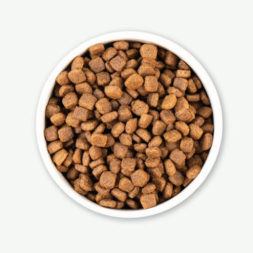 Earthborn Holistic Primitive Natural™ Dry Dog Food